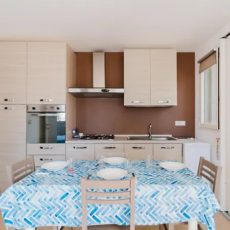 Bouganvillea